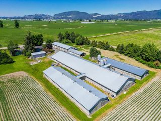 Photo 31: 1160 MARION Road in Abbotsford: Sumas Prairie Agri-Business for sale : MLS®# C8045490