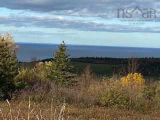 Photo 3: 10 acres Dunmaglass Road in Knoydart: 108-Rural Pictou County Vacant Land for sale (Northern Region)  : MLS®# 202215407