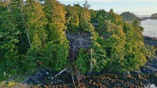 Photo 4: 1172 Coral Way in Ucluelet: PA Ucluelet Land for sale (Port Alberni)  : MLS®# 915673