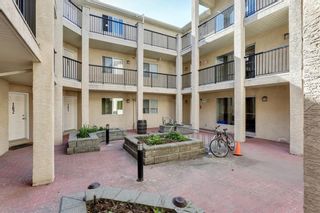 Photo 25: 303 3912 Stanley Road SW in Calgary: Parkhill Apartment for sale : MLS®# A1207465