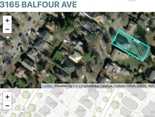 Photo 4: 3165 Balfour Ave in Victoria: Vi Burnside House for sale : MLS®# 942910
