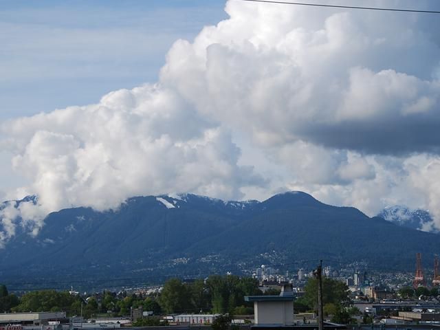 Photo 8: Photos: 301 853 E 7TH Avenue in Vancouver: Mount Pleasant VE Condo for sale in "VISTA VILLA" (Vancouver East)  : MLS®# V930557