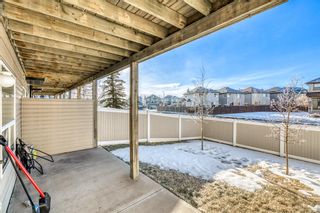 Photo 37: 53 Royal Birch Mount NW in Calgary: Royal Oak Row/Townhouse for sale : MLS®# A2019963