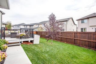 Photo 49: 187 Cranford Green SE in Calgary: Cranston Detached for sale : MLS®# A1092589