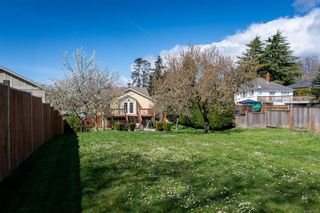 Photo 14: 3301 Linwood Ave in Saanich: SE Maplewood House for sale (Saanich East)  : MLS®# 871406