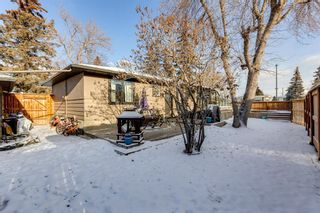 Photo 33: 3803 25 Avenue SW in Calgary: Glendale Detached for sale : MLS®# A2014172