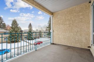 Photo 24: 206 9449 19 Street SW in Calgary: Palliser Apartment for sale : MLS®# A2104517