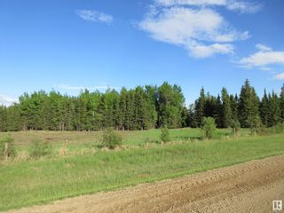 Photo 5: RR 223 Twp Rd 612: Rural Thorhild County Rural Land/Vacant Lot for sale : MLS®# E4299650