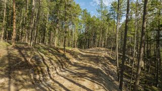 Photo 6: Lot A Trepanier Road, in Peachland: Vacant Land for sale : MLS®# 10272926