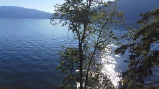 Photo 47: 84 Beale Creek, in Sicamous: House for sale : MLS®# 10263351