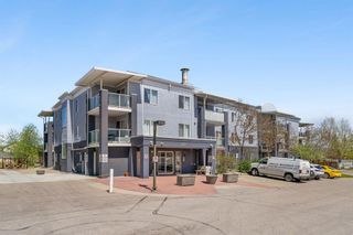 Photo 1: 2109 2280 68 Street NE in Calgary: Monterey Park Apartment for sale : MLS®# A2133105