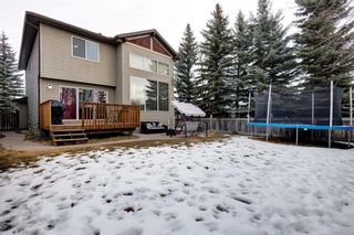Photo 25: 91 Chapala Way SE in Calgary: Chaparral Detached for sale : MLS®# A2119856
