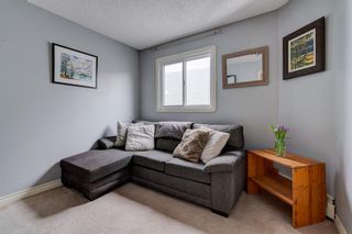Photo 18: 303 607 7 Avenue NE in Calgary: Renfrew Apartment for sale : MLS®# A2033863