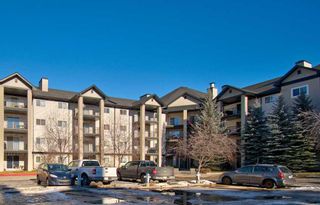 Photo 2: 1212 4975 130 Avenue SE in Calgary: McKenzie Towne Apartment for sale : MLS®# A2105141