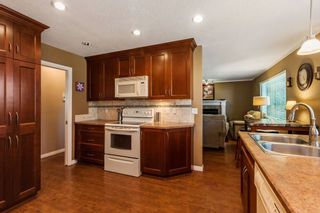 Photo 5: 9173 211B Street in Langley: Walnut Grove House for sale : MLS®# R2169622