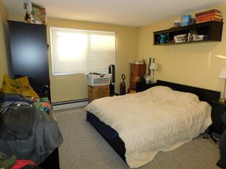 Photo 11: 308B 7301 4A Street SW in Calgary: Kingsland Apartment for sale : MLS®# A1223736