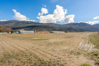 Photo 32: 40650 NO. 5 Road in Abbotsford: Sumas Prairie Agri-Business for sale : MLS®# C8050431