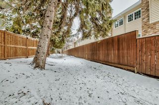 Photo 37: 528 Point Mckay Grove NW in Calgary: Point McKay Row/Townhouse for sale : MLS®# A2027172