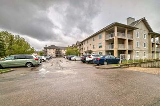 Main Photo: 217 3000 Citadel Meadow Point NW in Calgary: Citadel Apartment for sale : MLS®# A2133638