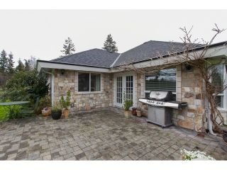 Photo 20: 5553 256 Street in Langley: Salmon River House for sale in "SALMON RIVER" : MLS®# R2047979