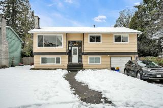 Photo 1: 19734 54A Avenue in Langley: Langley City House for sale : MLS®# R2756805