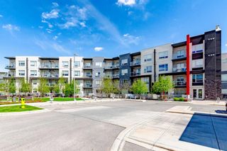 Photo 25: 105 8531 8A Avenue SW in Calgary: West Springs Apartment for sale : MLS®# A2133401