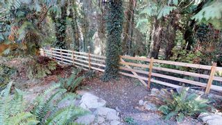 Photo 10: 5840 MARINE Way in Sechelt: Sechelt District Land for sale (Sunshine Coast)  : MLS®# R2269233