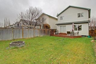 Photo 31: 212 MT APEX Green SE in Calgary: McKenzie Lake House for sale : MLS®# C4144299