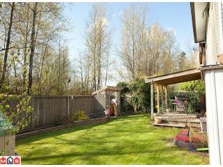 Photo 1: 3259 268TH ST in Langley: Aldergrove Langley House for sale in "Parkside" : MLS®# F1105855