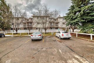 Photo 41: 14 3015 51 Street SW in Calgary: Glenbrook Row/Townhouse for sale : MLS®# A2128442