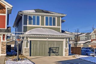 Photo 50: 42 Redstone Manor NE in Calgary: Redstone Detached for sale : MLS®# A2094998