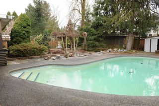 Photo 19: 19435 PARK Road in Pitt Meadows: Mid Meadows House for sale : MLS®# R2741939