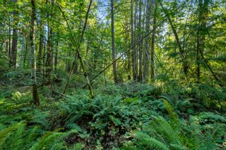 Photo 13: Lot 1 Telegraph Rd in Cobble Hill: ML Cobble Hill Land for sale (Malahat & Area)  : MLS®# 956650