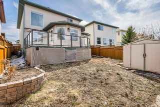 Photo 43: 222 Douglas Ridge Circle SE in Calgary: Douglasdale/Glen Detached for sale : MLS®# A2034801