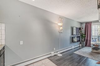 Photo 12: 206 1829 11 Avenue SW in Calgary: Sunalta Apartment for sale : MLS®# A2048820