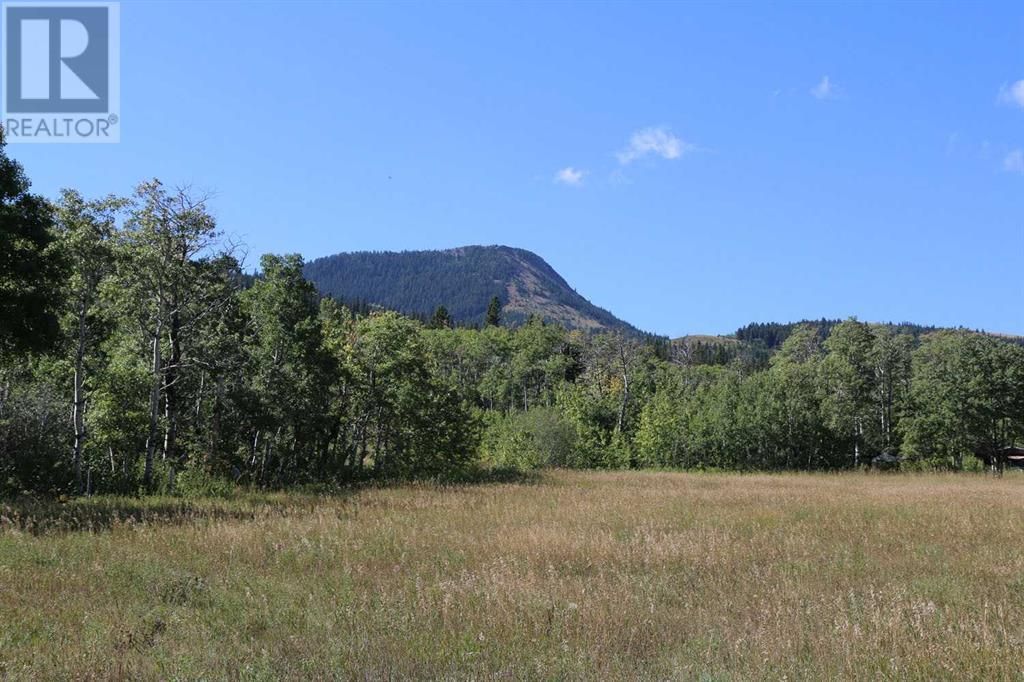 Main Photo: 8016 3-1 Range Road in Lundbreck: Agriculture for sale : MLS®# A2081472