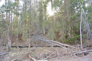 Photo 11: LOT A KLOECKNER Road in Smithers: Smithers - Rural Land for sale (Smithers And Area (Zone 54))  : MLS®# R2598861