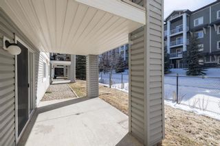 Photo 24: 2115 4975 130 Avenue SE in Calgary: McKenzie Towne Apartment for sale : MLS®# A2035121