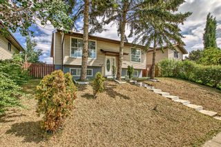 Photo 1: 1148 Falconridge Drive NE in Calgary: Falconridge Detached for sale : MLS®# A2054530