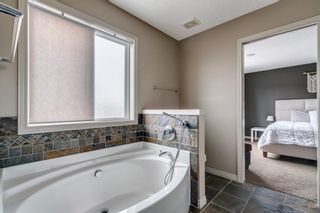 Photo 22: 9 Copperfield Point SE in Calgary: Copperfield Detached for sale : MLS®# A1100718