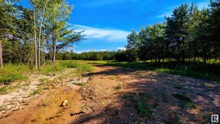 Photo 5: 61112 Hiway 855: Rural Smoky Lake County Vacant Lot/Land for sale : MLS®# E4341803
