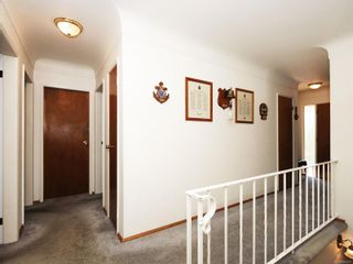 Photo 17: 3807 Merriman Dr in Saanich: SE Cedar Hill House for sale (Saanich East)  : MLS®# 854201