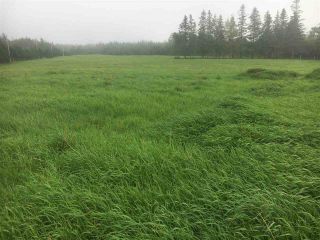 Photo 3: Lot Bennetts Bay Road in Bennett Bay: 404-Kings County Vacant Land for sale (Annapolis Valley)  : MLS®# 201922246