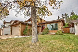 Main Photo: 56 Hawkwood Place NW in Calgary: Hawkwood Detached for sale : MLS®# A2081603