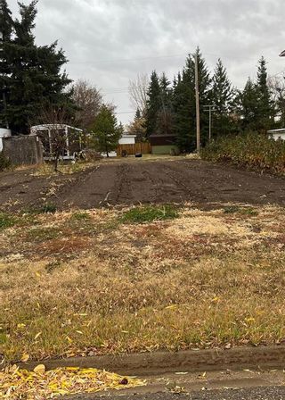 Photo 2: 4911 52 Street: Lougheed Residential Land for sale : MLS®# A2007768