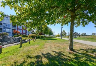 Photo 28: 410 4500 WESTWATER Drive in Richmond: Steveston South Condo for sale in "COPPER SKY WEST" : MLS®# R2615301