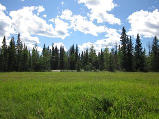 Photo 8: 52 Boundary Close: Rural Clearwater County Land for sale : MLS®# A1050688