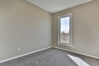 Photo 21: 47 TEMPLEGREEN Place NE in Calgary: Temple Detached for sale : MLS®# C4273952