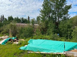 Photo 3: 9002 Hwy 16: Rural Yellowhead Rural Land/Vacant Lot for sale : MLS®# E4307890