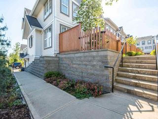 Photo 33: 46-7169 208A St in Langley: Willoughby Heights Townhouse for sale : MLS®# R2575619
